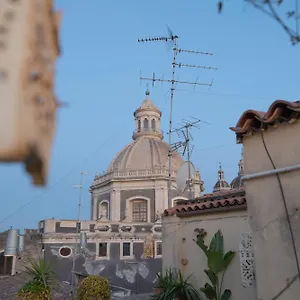 Degli Elefanti Italia